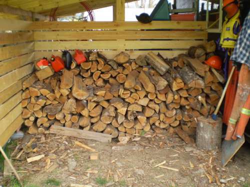 firewood 001
