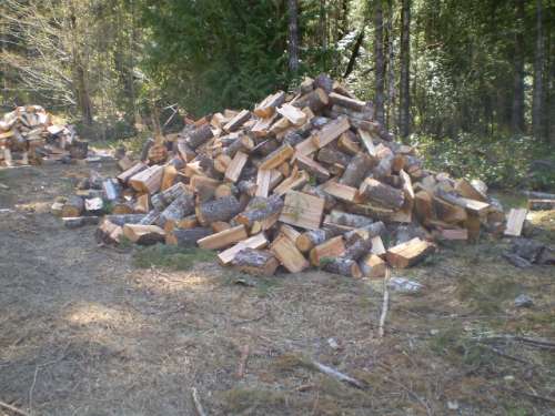 firewood 002
