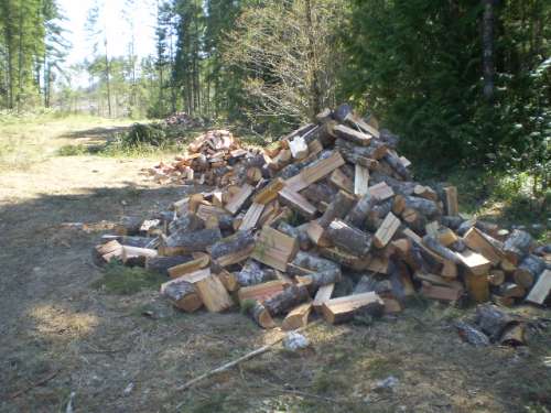 firewood 004
