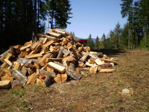 firewood 005
