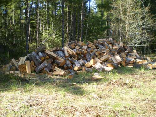 firewood 006
