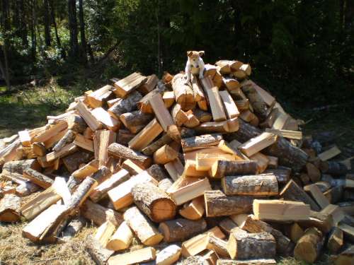 firewood_009.jpg