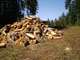 firewood_005.jpg