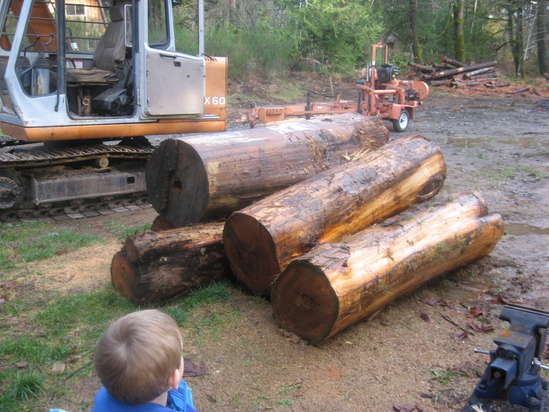 logs
