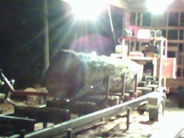 B 20 TimberKing
Night sawing
