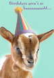 Goat-Card-RS2061.jpg
