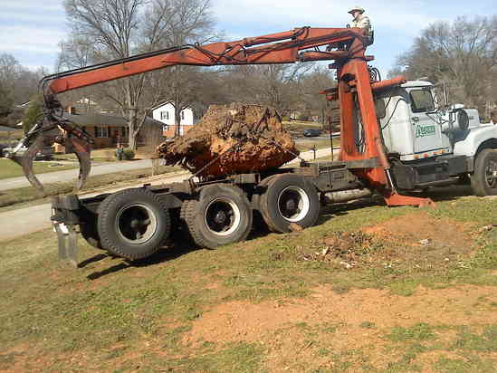 Oak stump on grapple truck
