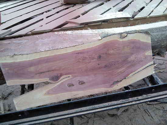 Short small piece of ERC crotch wood
