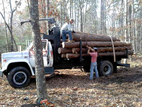 GMC 7000 with fabricated cable loader, southern yellow pine
