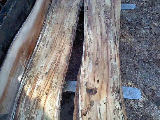 Spalted_ambrosia_sycamore.jpg