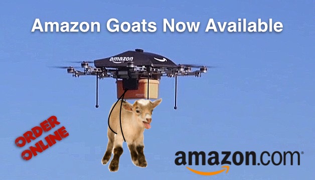 20150407tu-hire-a-goat-amazon-grazing-trimming-weeds-grass-rental-buy-purchase_copy.jpg