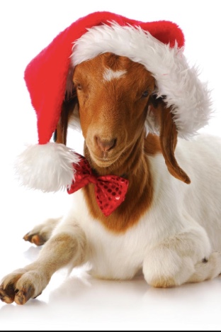 Goat_Christmas.jpeg