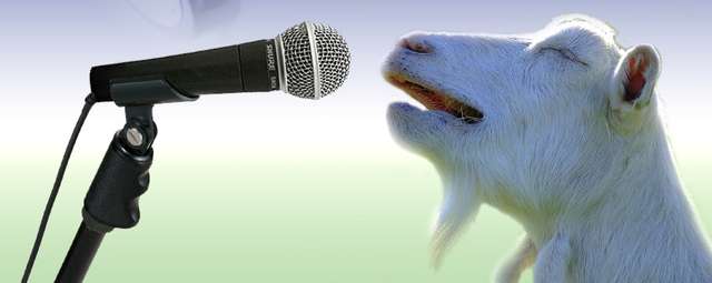 goat-singing~0.jpg
