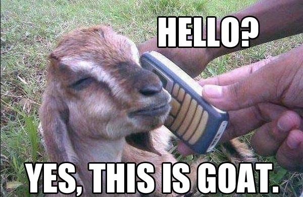 goat_on_phone_copy.jpg