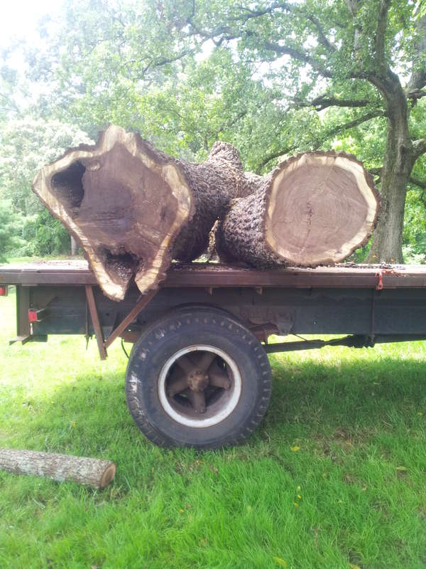 lower of logs loaded on truck
