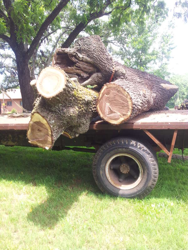 top of logs loaded on truck
