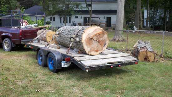 Red oak log, 38" x 8' 6"
