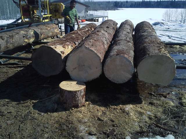 Same old......
Standard oversize spruce logs going to be made into farm boards. 1x6x8' - 2x6x16' - 2x8x16'
