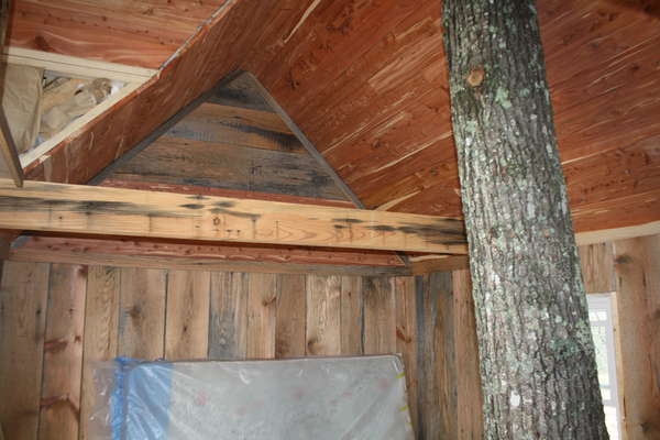 Inside tree house
