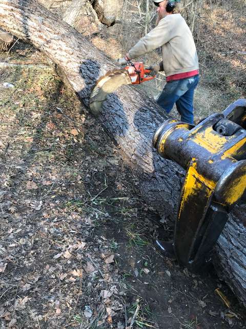 Cutting a branch, using grapple to keep still
