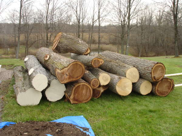 My first logs from the back yard.
