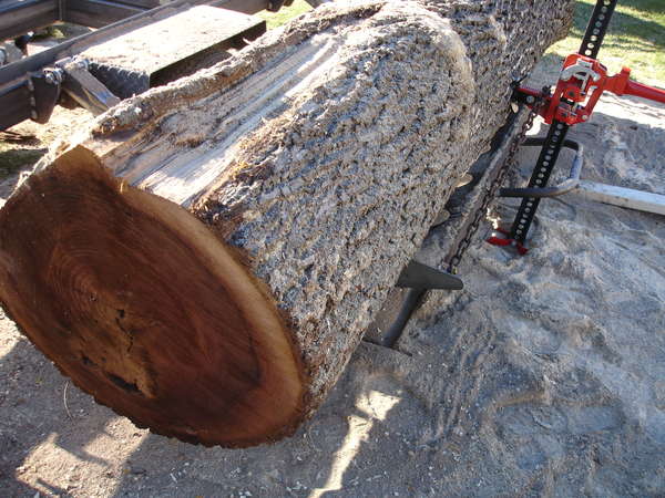 Loading a walnut log 10 ft long x 26" on big end x 22 " on small end easily. 
