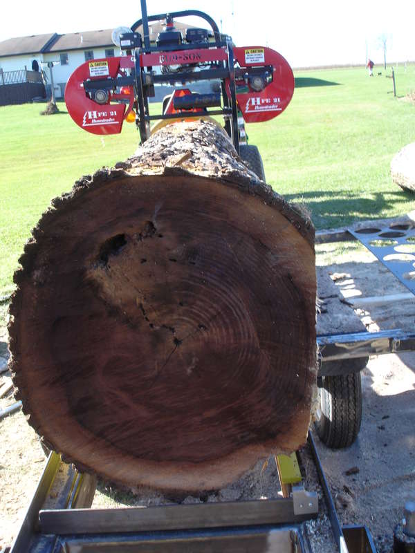 A little to big for the mill. Nothing a chainsaw can't fix.
