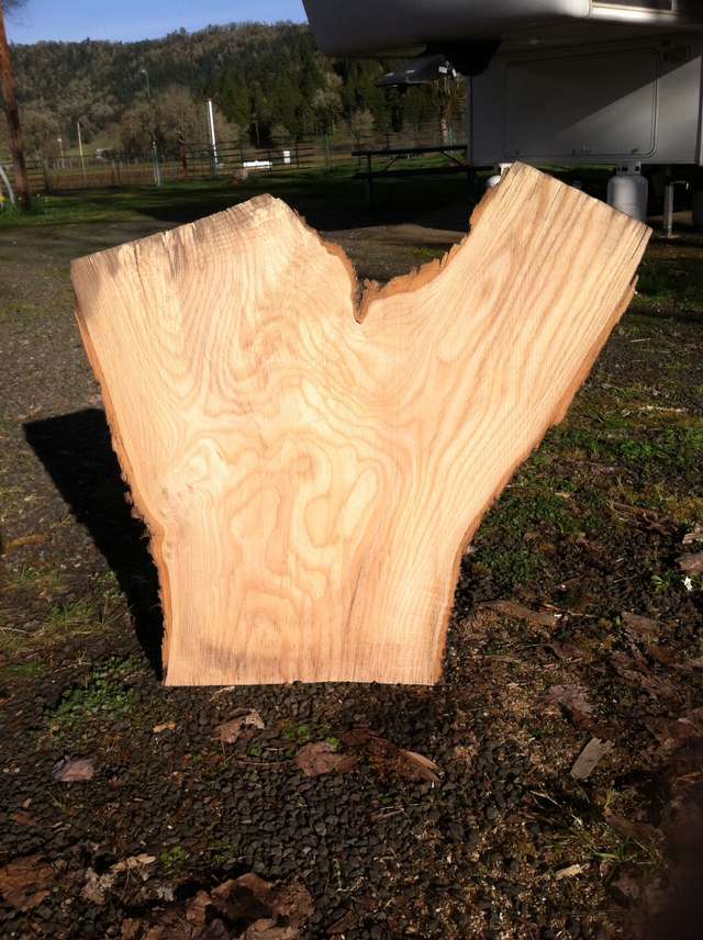 woodshed crotch wood
Keywords: Crotchwood crotch