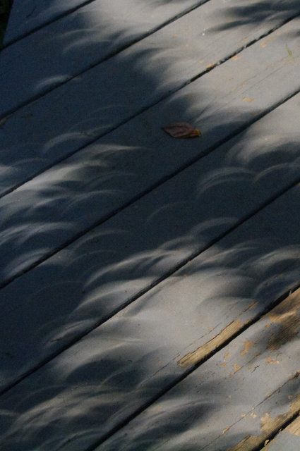 shadows-eclipse-5754

