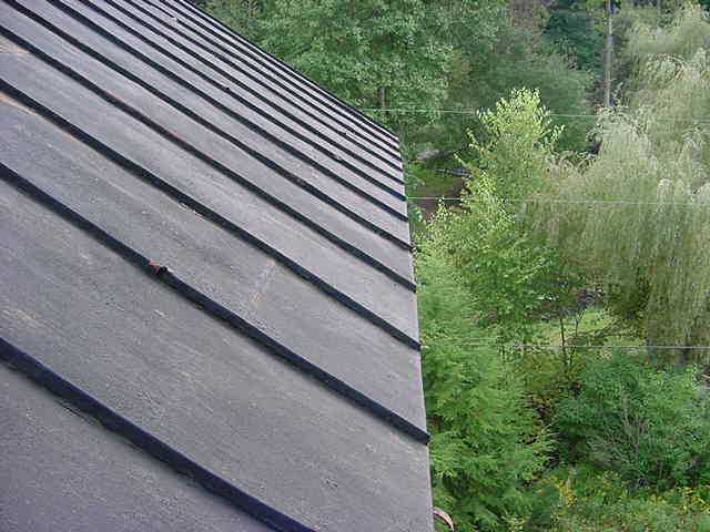 Side_roof.JPG