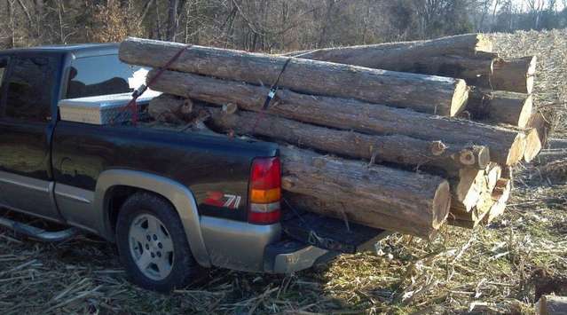 Log truck lol
Haulin some cedars 
