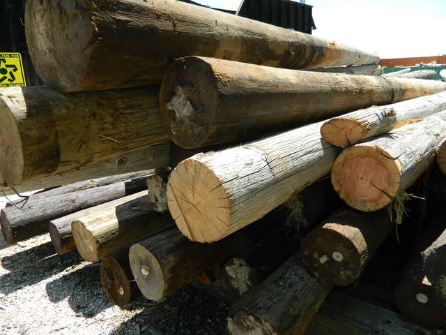 Used Utility Poles
If you are in the states of Texas, Oklahoma, Ohio, Georgia, or Indiana we have options for you.

The total cost for a load is $100 to $500 depending on your proximity and quality/quantity of the poles. These poles are good for building pole barns, fencing, and other landscaping uses. Our poles range from 8' to 30' in length with an average of about 6"-12" in diameter. We will only deliver full mix truckloads of what is available when we clean out a service site. Typically they are approximately 30-60 poles on a truck. 

If interested or want more information contact Jacob at 812-824-5139
Keywords: utility poles