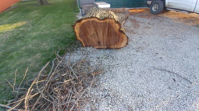 Here are a couple pictures of the log that I would like to cut up
