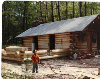 Aspen For Cabin Logs In Timber Framing Log Construction